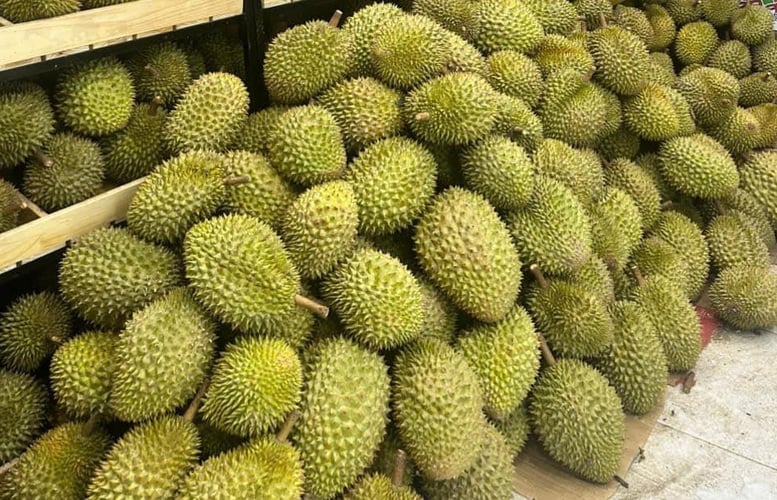 Lấy lại giá trị nông sản: Bài học từ 'câu chuyện' sầu riêng- Ảnh 1.