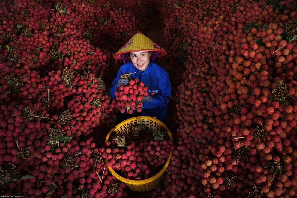 Cảnh tắc đường dài vài ki-lô-mét mùa vải thiều Lục Ngạn chín rộ ở Bắc Ninh - 3