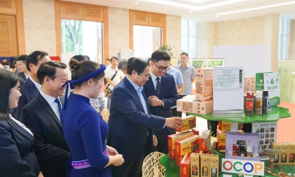 Hành trình "5 sao" của miến dong Bình Liêu