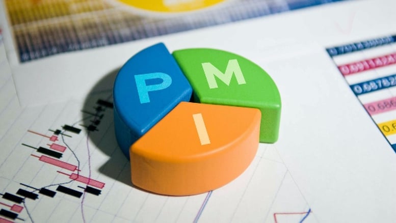 Nghiên cứu thông tin phản ánh về PMI và lộ trình kiểm tra tem nhãn- Ảnh 1.