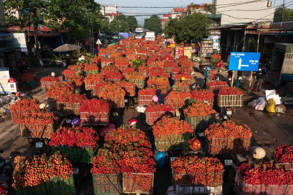 Cảnh tắc đường dài vài ki-lô-mét mùa vải thiều Lục Ngạn chín rộ ở Bắc Ninh - 1