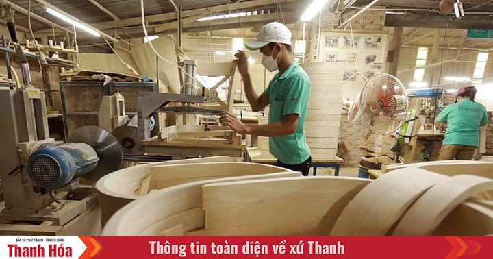 Announcement of 919 wood species imported into Vietnam with many new wood species