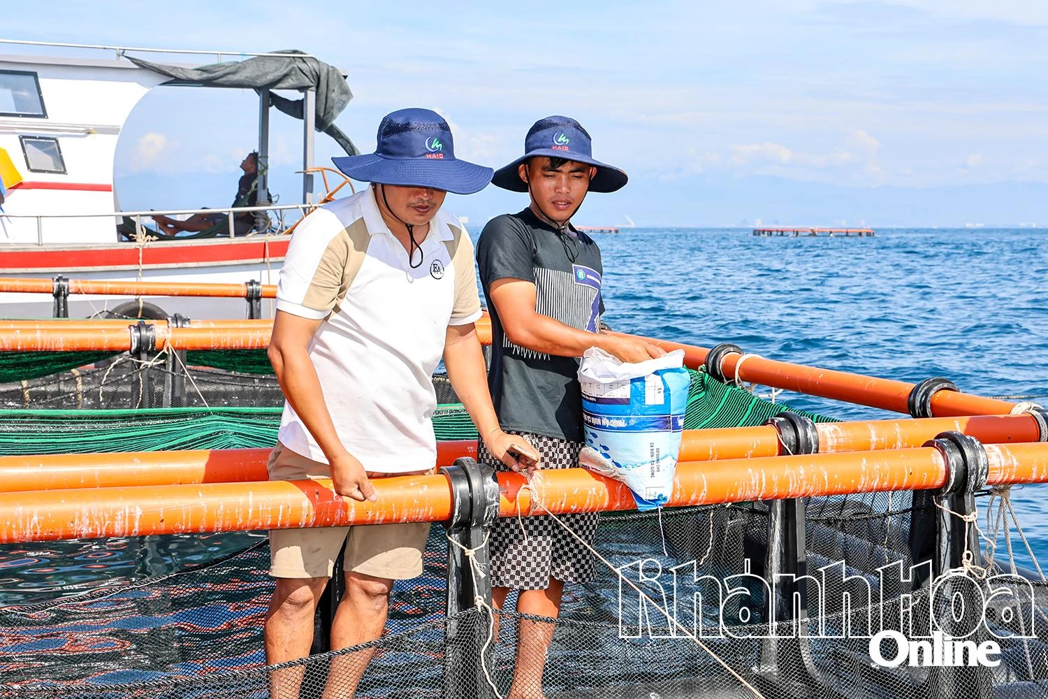 นายเหงียน วัน ฮวน (ซ้าย) กำลังให้อาหารปลาในกระชังกลม HDPE ในพื้นที่ทำการเกษตรฮอนน้อย