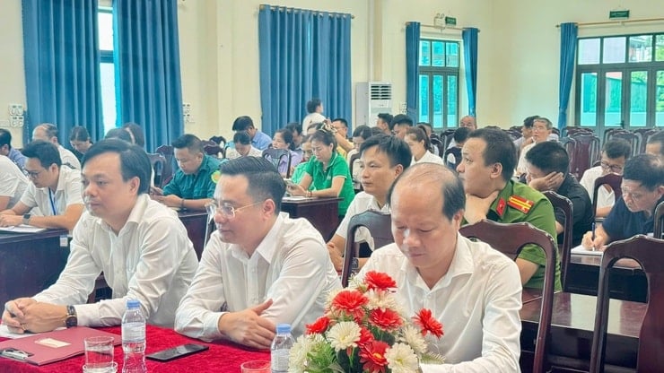 tam-hung-9-7.jpg