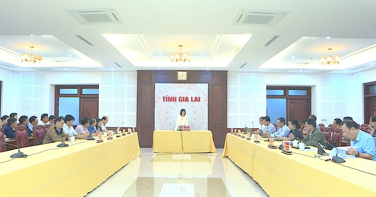 Phó Chủ tịch UBND tỉnh Nguyễn Thị Thanh Lịch chủ trì cuộc họp về bố trí bộ phận thường trực các cơ quan chuyên môn thuộc UBND tỉnh tại cơ sở 2