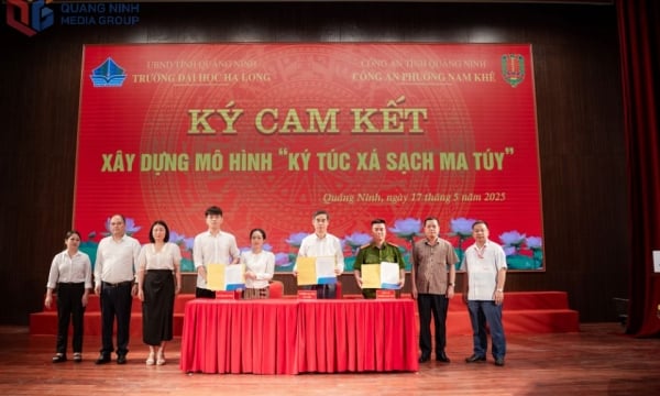 ផលវិបាកនៃគ្រឿងញៀនលើយុវជន