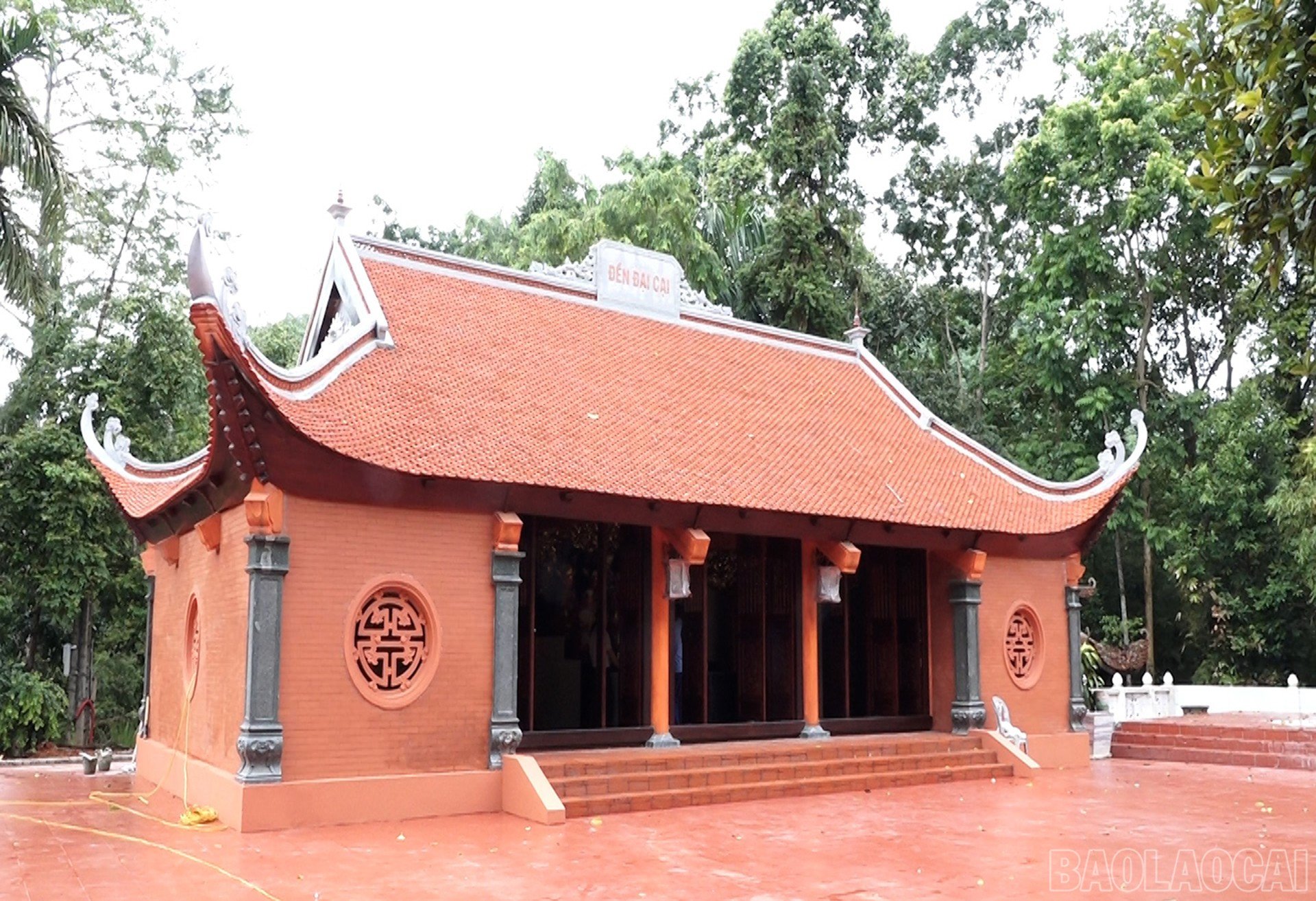 baolaocai-br_1-8-daicai11.jpg