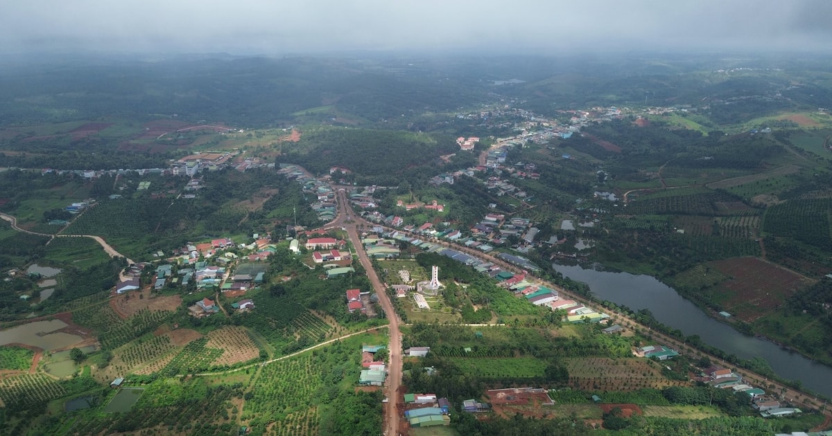 Lam Dong increases 260 cadres, civil servants and public employees to support grassroots
