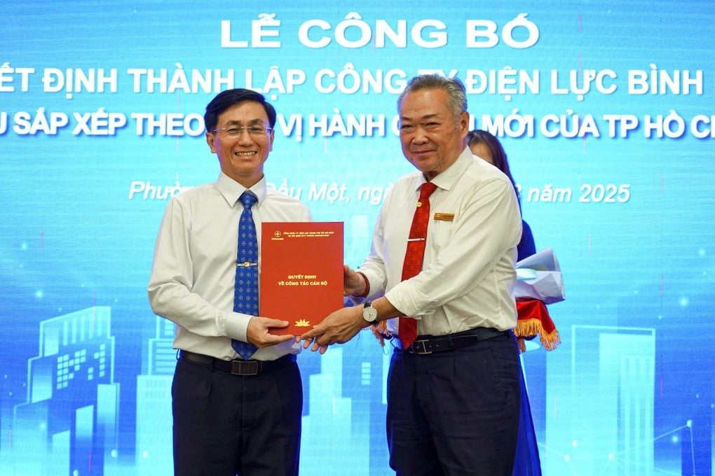 EVNHCMC thành lập 9 công ty điện lực mới sau sáp nhập - 1