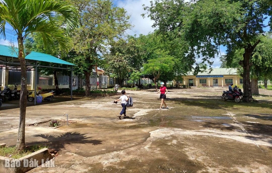 Trường