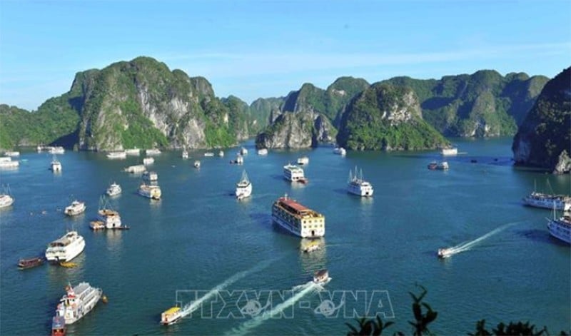 Ảnh minh họa: TTXVN 