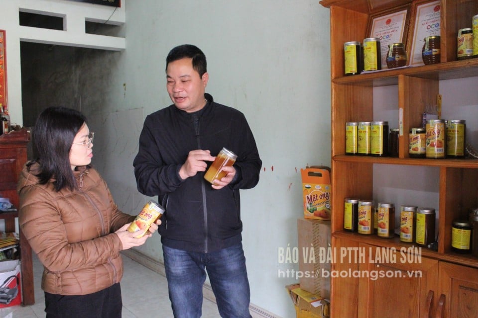 Thành viên Hợp tác xã Sản xuất và Dịch vụ nông nghiệp Quảng Hồng trao đổi với cán bộ Hội Nông dân tỉnh về sản xuất mật ong 