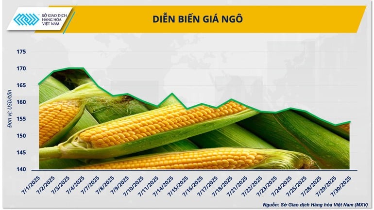 Biểu đồ diễn biến giá ngô thời gian qua.