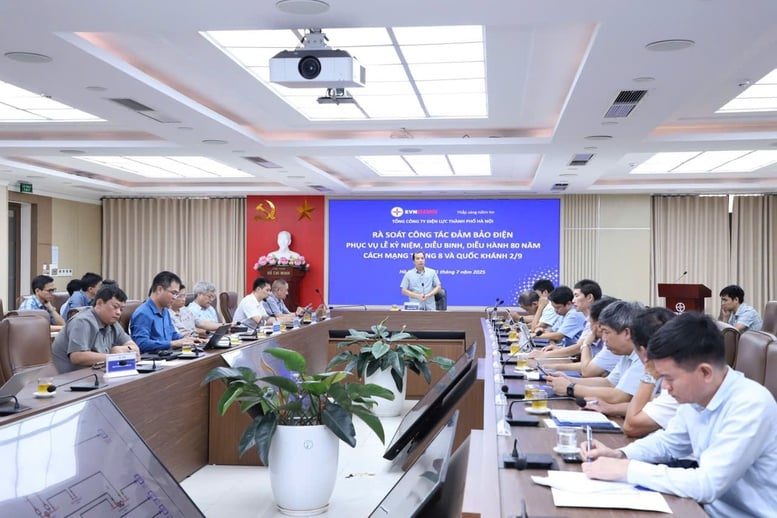Bảo đảm cung cấp điện an toàn, ổn định cho dịp kỷ niệm 80 năm Cách mạng Tháng Tám và Quốc khánh 2/9- Ảnh 1.