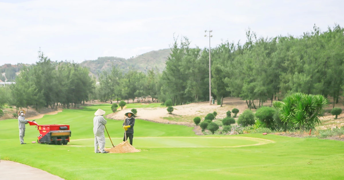 FLC Golf Links Quy Nhơn gấp rút chuẩn bị cho Giải Vô địch Golf Quốc gia, Cúp VinFast - Gia Lai 2025