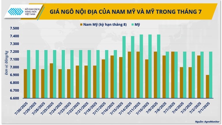 Giá ngô nội địa của Nam Mỹ và Mỹ trong tháng 7