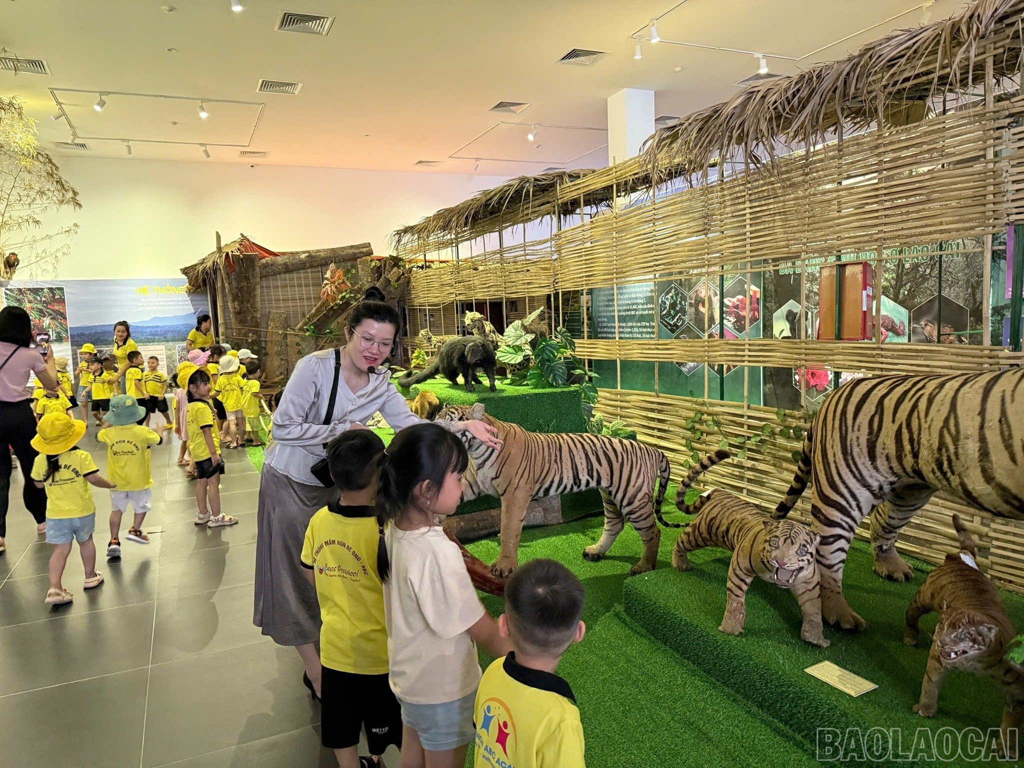baolaocai-br_521654691-1155398133292590-2577689836949762043-n.jpg