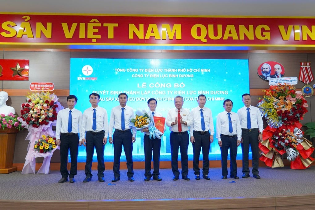 EVNHCMC thành lập 9 công ty điện lực mới sau sáp nhập - 2