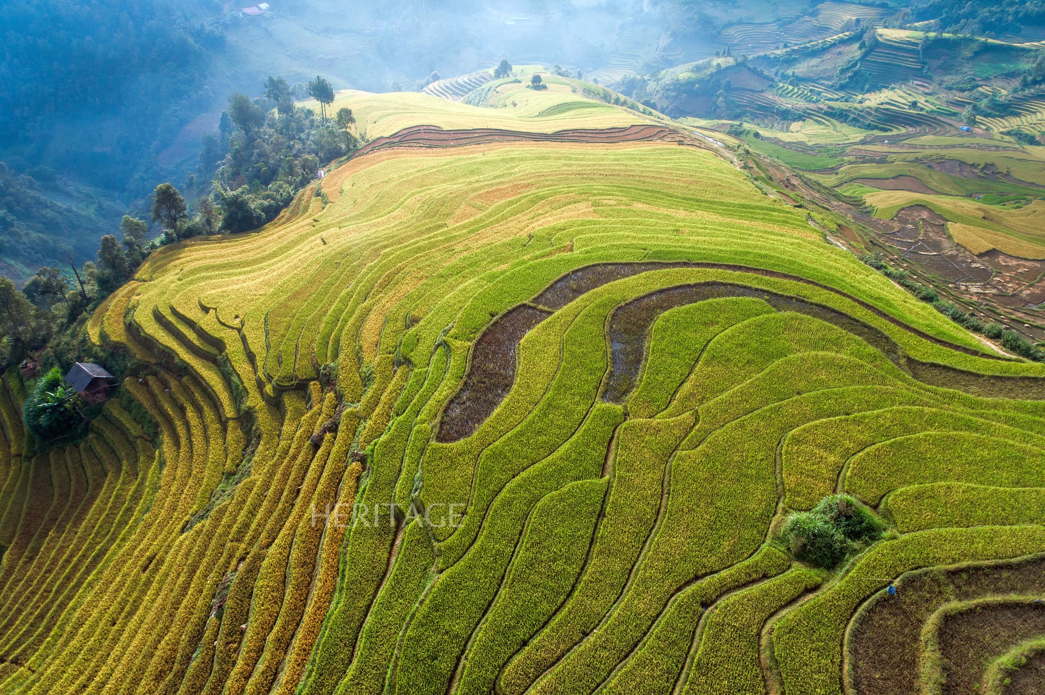 Lao Cai៖ រដូវស្រូវបៃតងតាវ៉ាន់ទាក់ទាញភ្ញៀវទេសចរណ៍