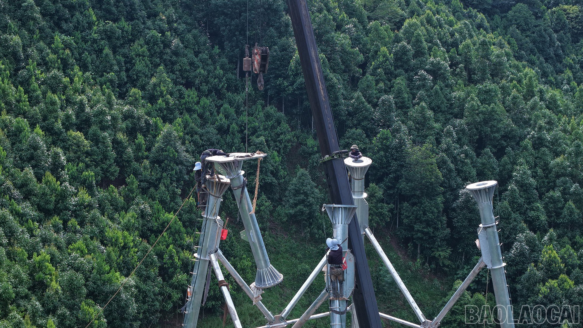 baolaocai-br_500kv-5.jpg