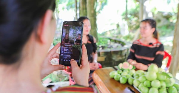 Từ kỹ năng mềm đến thương mại điện tử: Hành trình mới của phụ nữ vùng cao Quảng Ngãi