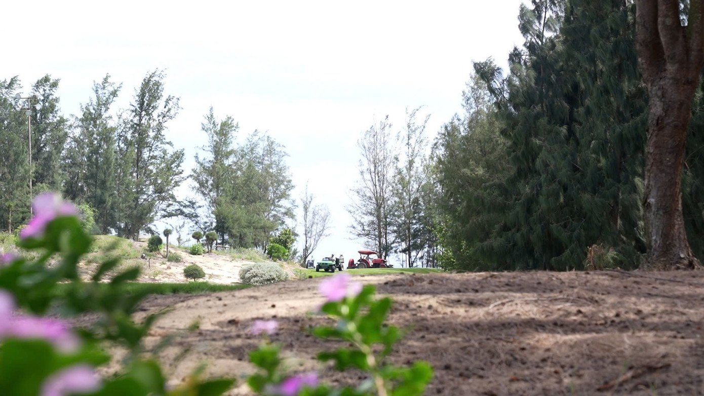z6856536540964-57898a18abdce03d57414982f881181e.jpg