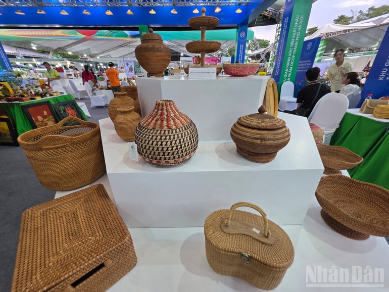 ndo_br_20250801-180641.jpg