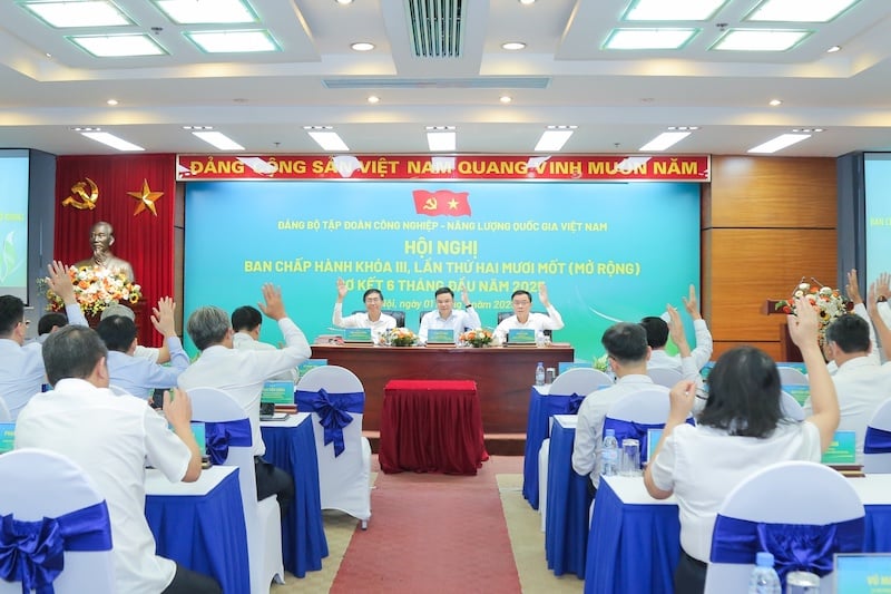petrovietnam---hinh-mau-to-chuc-dang-trong-doanh-nghiep-nha-nuoc-2.jpg