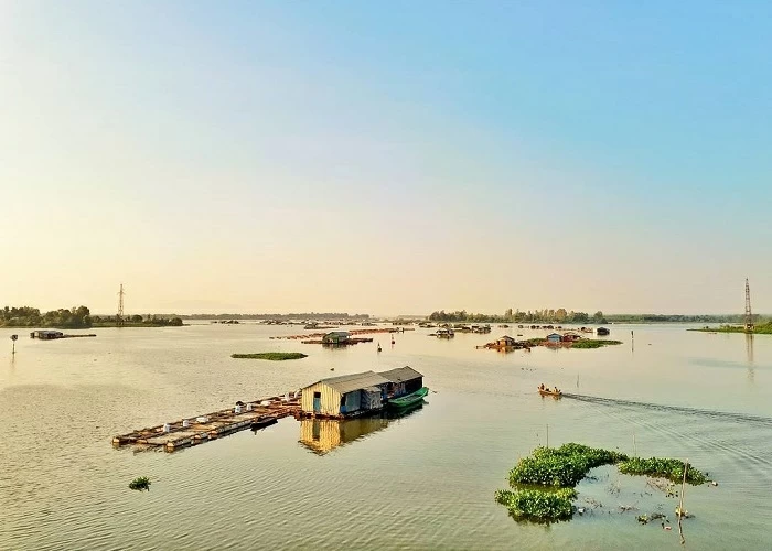 ជំរាបសួរ សេចក្ដីស្រឡាញ់ ស្លឹកឈើដុះពន្លក។