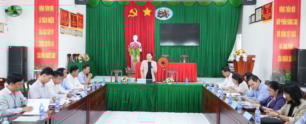 Phó Chủ tịch UBND tỉnh- Nguyễn Thị Quyên Thanh phát biểu tại buổi làm việc.

