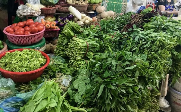 Thứ rau tốt như 'vitamin đa vi chất' cho phụ nữ, giá chỉ vài nghìn có đầy ở chợ, đem làm các món ngon này bổ đủ đường- Ảnh 3.