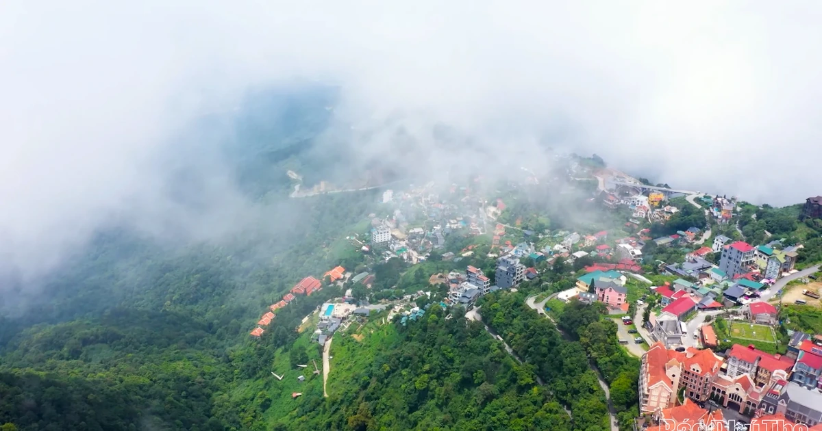 Tam Đảo - Kỳ tích thăng hoa từ mây ngàn và khát vọng