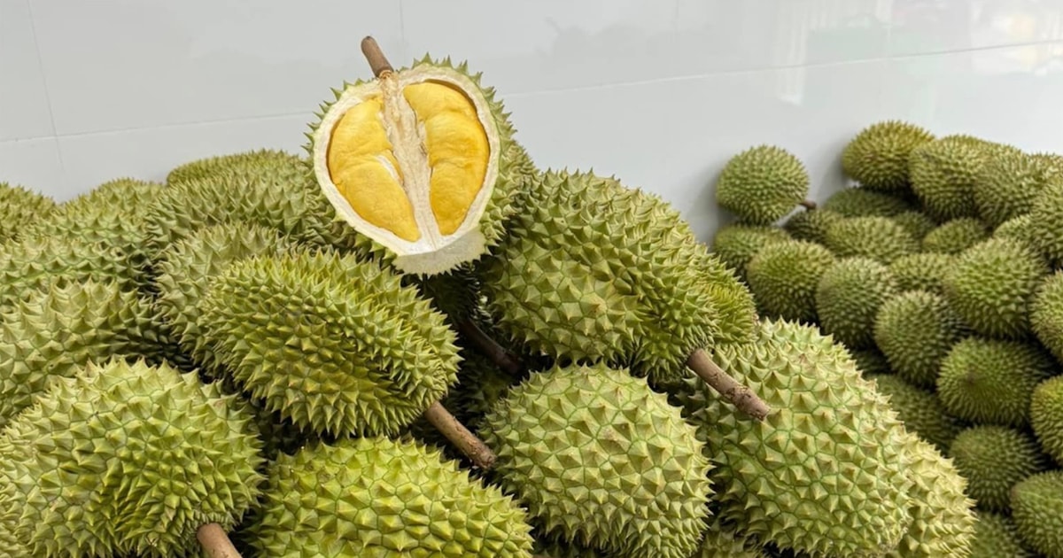 Giá sầu riêng hôm nay 10/8: Sụt giá không phanh ở nhiều tỉnh, nhưng có nơi vẫn đạt mức khủng