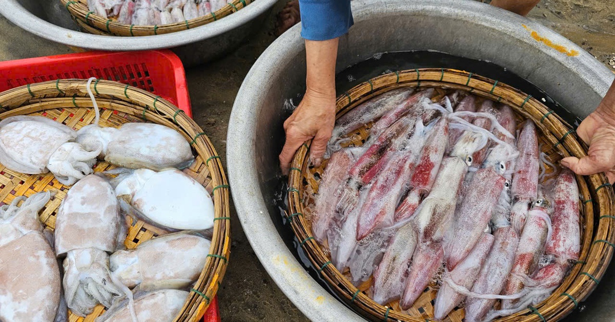 Thị trường Thái Lan 'ghiền' mực, bạch tuộc của Việt Nam, sản phẩm nào 'nóng' nhất?