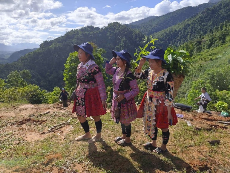 nguoi-dan-pha-luong.jpg