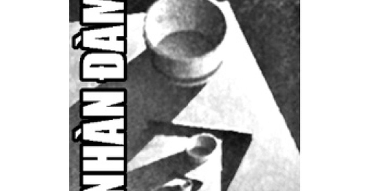 Nhàn đàm: Mưa nấm mối
