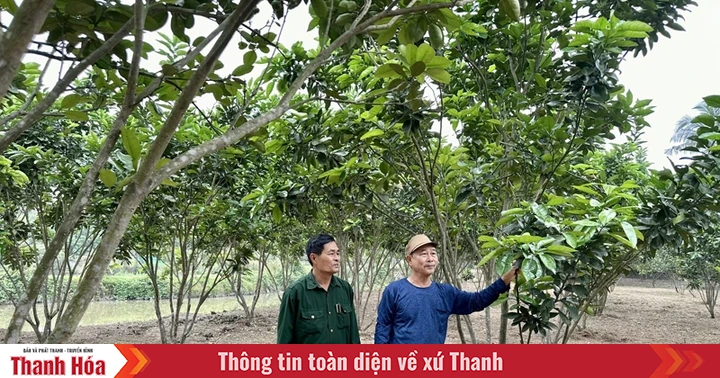 Người cao tuổi thi đua làm kinh tế giỏi