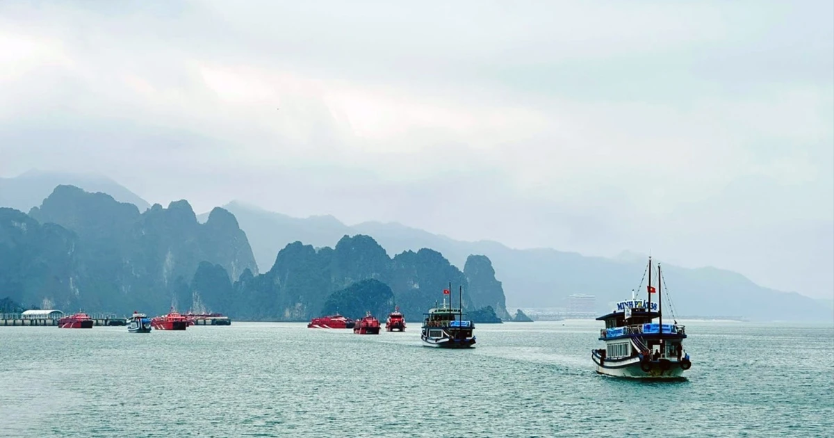 Lấp 'lỗ hổng' cho du lịch đường thủy