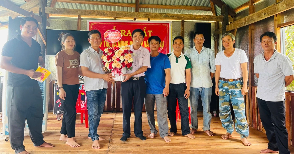 Ra mắt Hợp tác xã Nông nghiệp và dịch vụ Hải Đăng