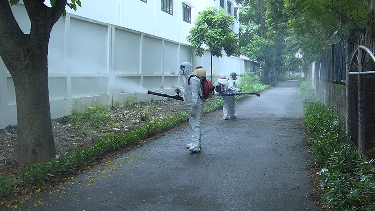 Bộ Y tế khuyến cáo khẩn biện pháp giám sát, phòng chống bệnh Chikungunya