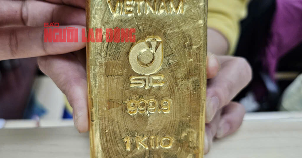 តម្លៃមាសថ្ងៃនេះ ថ្ងៃទី 10 ខែសីហា បន្តឡើងដល់កំពូលថ្មី ហើយត្រូវបានគេរំពឹងថានឹងកើនឡើងយ៉ាងខ្លាំង។
