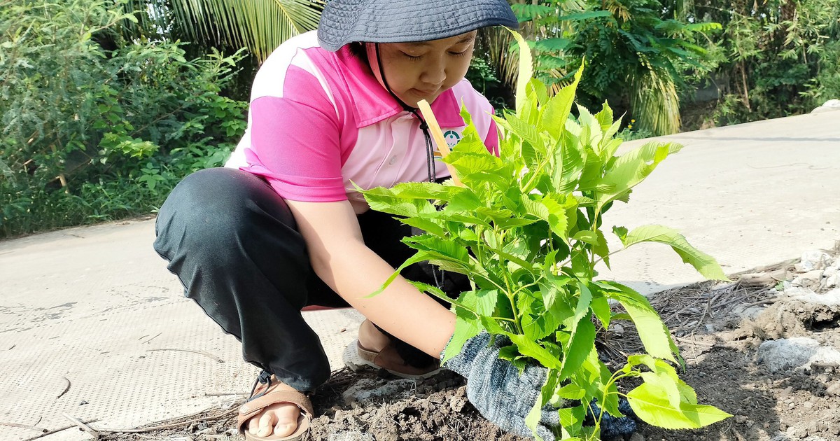 Những 'thiên thần nhỏ' gieo mầm yêu thương