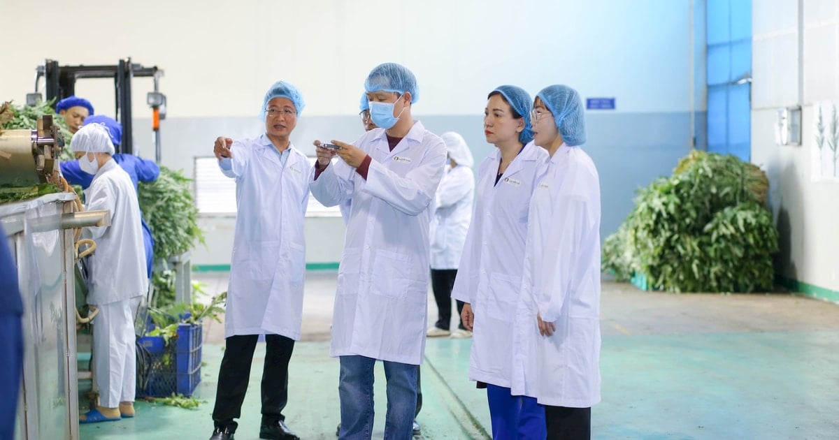 Nâng cao chất lượng, mở rộng thị trường xuất khẩu nông sản