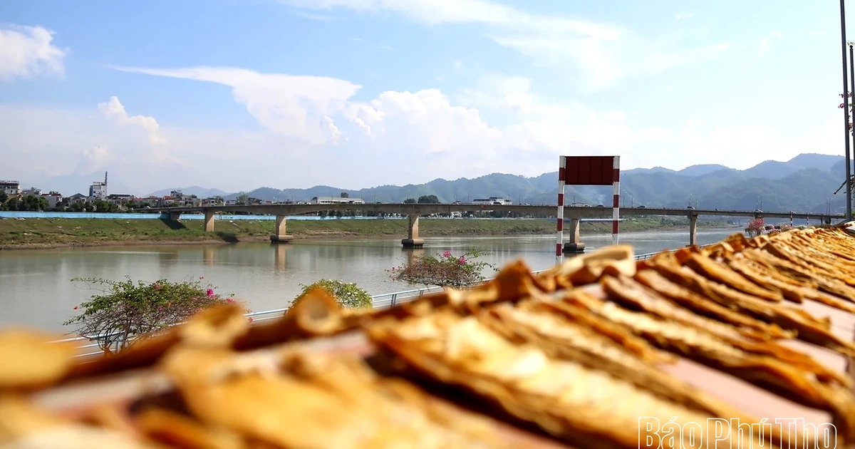 Hoa Binh dried bamboo shoots - Cherishing the taste of sunshine, encapsulating the scent of the forest