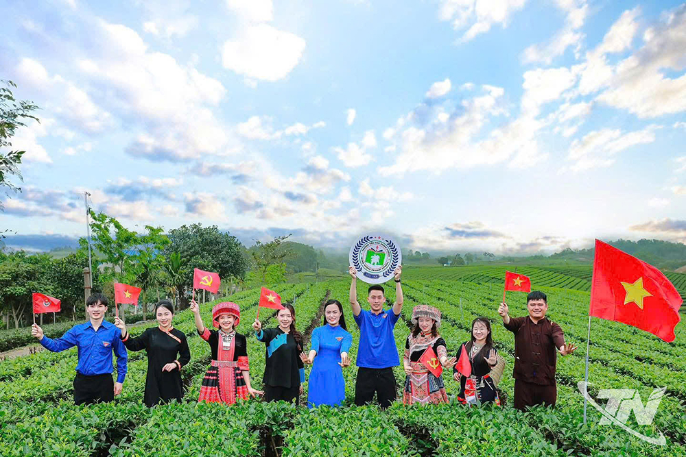 Cơn sốt trào lưu