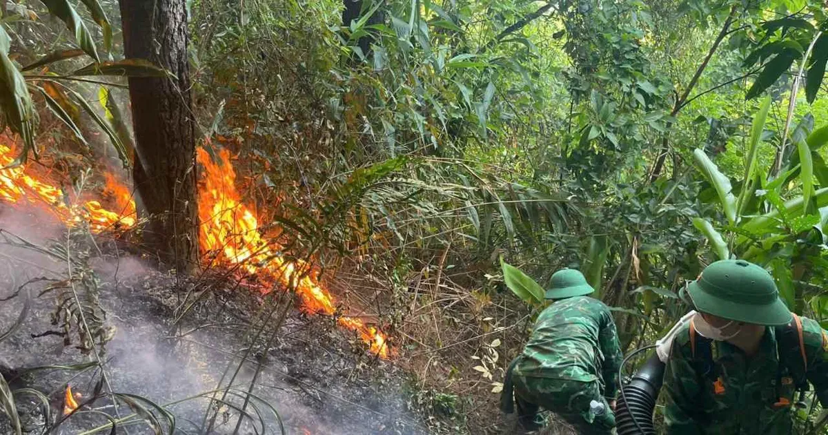 Roon Border Guard Station participates in fighting forest fire in Deo Ngang