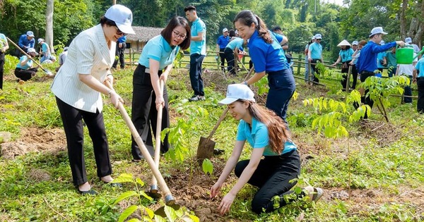Agribank xanh hóa hoạt động nội bộ, lan tỏa lối sống bền vững