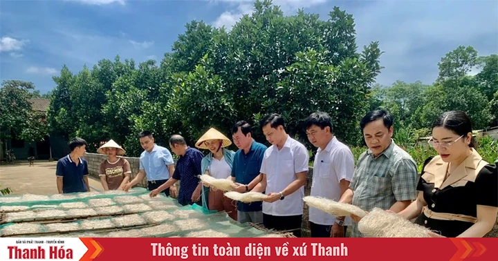 Nâng cao chất lượng, hiệu quả phong trào thi đua trong hội viên, nông dân
