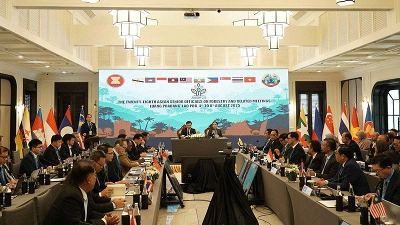 Lào thúc đẩy nỗ lực bảo vệ rừng bền vững trong ASEAN