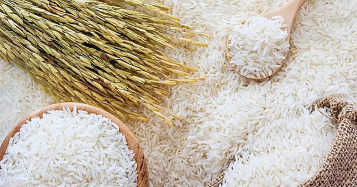 Giá lúa gạo hôm nay 11/8: Xuất khẩu vững, nội địa lặng sóng